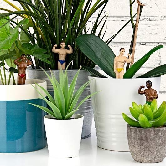 Stud muffin / Hunks / hot dude gnomes plant lover mini statues