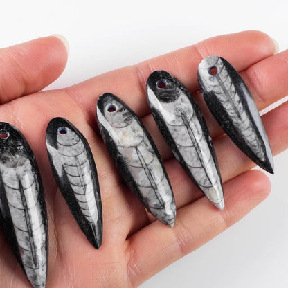Orthoceras fossil crystal pendant