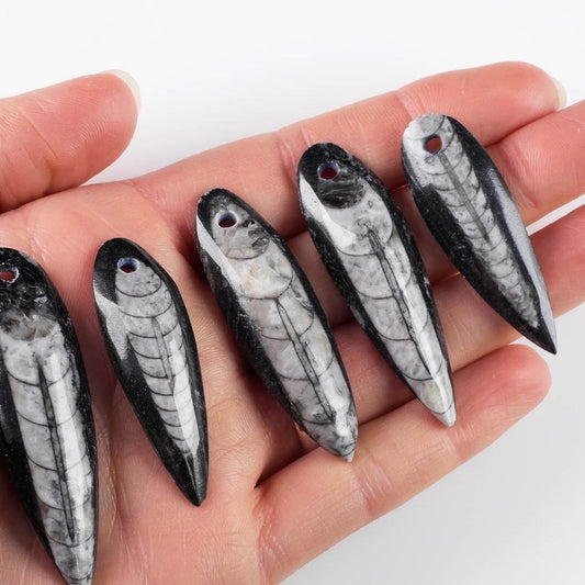 Orthoceras fossil crystal pendant