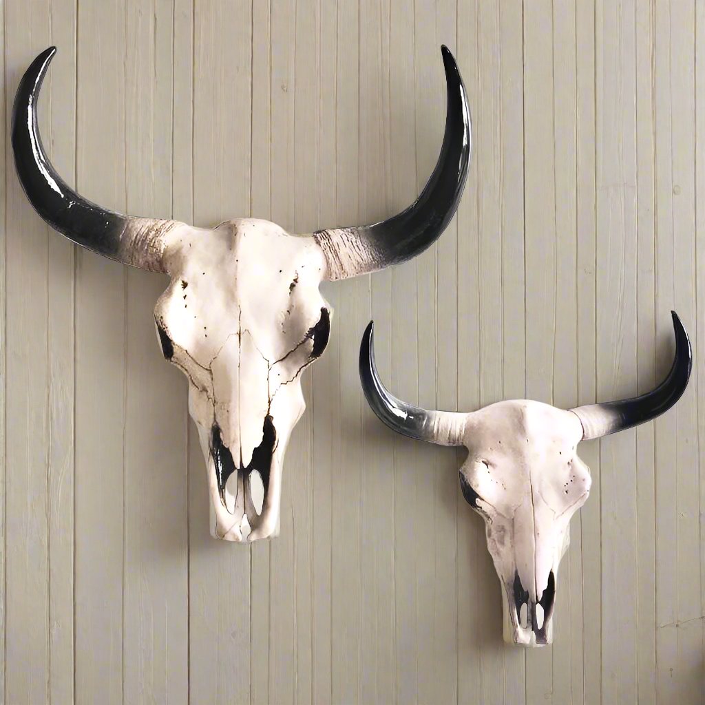 Buffalo / bull / natural cow skull wall hanging