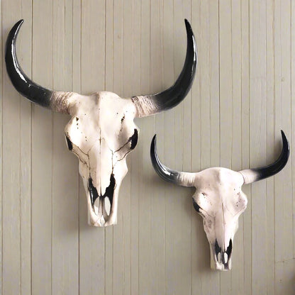 Buffalo / bull / natural cow skull wall hanging