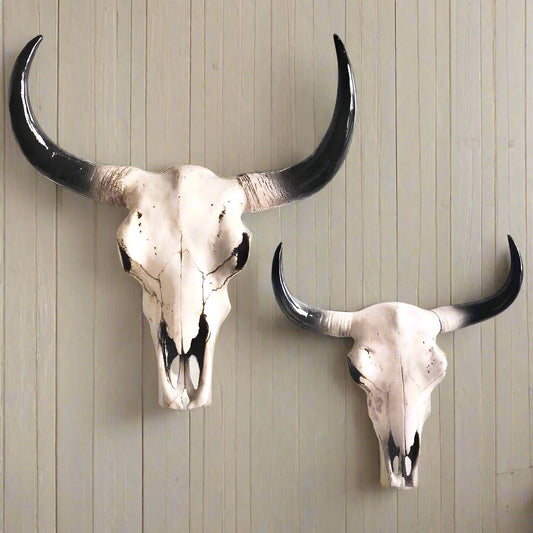 Buffalo / bull / natural cow skull wall hanging