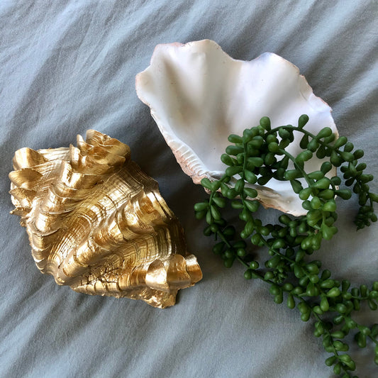 Gold and white coastal decor clam shell bowl / tray