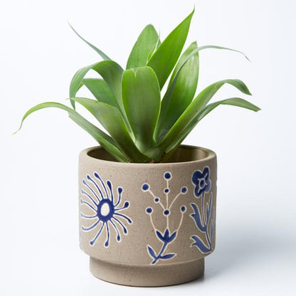 Australian native flora & animal hand made glazed clay plant pot